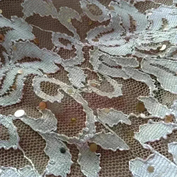 Cardalite Women's Dress Nude/tan sequined 2X - Picture 14 of 15